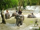 Picture of Highlight of Laos in 6 day tour