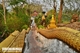 Picture of Luang Prabang Stopover (3days/2nights)