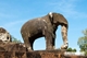 Picture of Siem Reap - Angkor temples - Tonle Sap lake