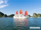 Picture of Syrena Cruises