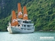 Picture of Paradise Luxury Cruise