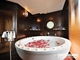Picture of Paradise Luxury Cruise