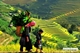 Picture of Discover real Vietnam in 18 Days 17 nights