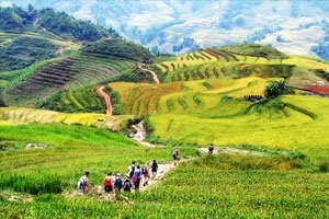 Picture for travelstyle Adventure Tours
