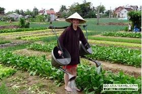 Picture of Tra Que Village biking and cooking private tour