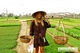 Picture of Tra Que Village biking and cooking private tour