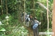 Picture of Discover A Luoi and Trek Hamburger Hill