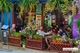 Picture of 8 days discover all North of Vietnam