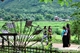 Picture of Mai Chau day trip from Hanoi - private tour