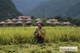 Picture of Mai Chau day trip from Hanoi - private tour