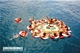 Picture of Funky Monkey boat trip