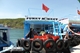 Picture of Funky Monkey boat trip
