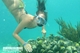 Picture of Funky Monkey boat trip