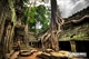 Picture of Siem Reap - Banteay Srei Temple & Ta Prohm Temple