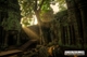 Picture of Siem Reap - Banteay Srei Temple & Ta Prohm Temple