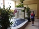 Picture of Ohana Hotel