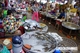 Picture of Mekong Delta 1 Day Tour (Cai Be Vinh Long)