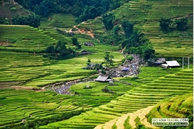 Picture of TZ2: Vietnam tour 14 Days Hanoi - Sapa - Hoi An - Ho Chi Minh City