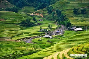 Picture of TZ2: Vietnam tour 14 Days Hanoi - Sapa - Hoi An - Ho Chi Minh City