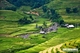 Picture of TZ2: Vietnam tour 14 Days Hanoi - Sapa - Hoi An - Ho Chi Minh City
