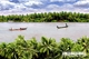 Picture of Mekong Delta 1 day tour (My Tho Ben Tre)