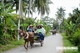 Picture of Mekong Delta 1 day tour (My Tho Ben Tre)