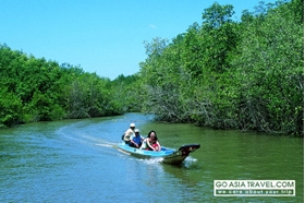 Picture of Can Gio Mangrove Forest 1 day tour – private tour