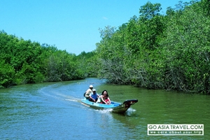 Picture of Can Gio Mangrove Forest 1 day tour – private tour