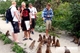 Picture of Can Gio Mangrove Forest 1 day tour – private tour