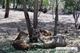 Picture of Can Gio Mangrove Forest 1 day tour – private tour