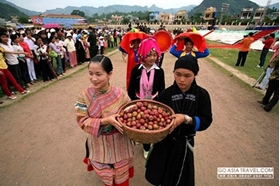 Bac Ha plum tree gardens lure visitors for harvest in late May