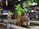 Picture of Inthira Vang Vieng