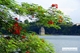 Picture of Visit World heritages in Vietnam