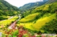 Picture of Sapa by bus 3 days 2 nights (2 nights in hotel) GS7