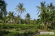Picture of Tour to My Lai Massacre Museum by Jeep