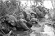 Picture of Tour to My Lai Massacre Museum by Jeep