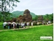 Picture of Hoi An My Son boat trip - group tour
