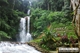 Picture of Da Lat City Tour