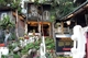 Picture of Da Lat City Tour