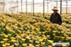 Picture of Dalat Countryside Tour