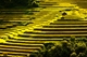 Picture of Hanoi - Nghia Lo - Tu Le - Mu Cang Chai 3 days 2 nights