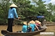 Picture of Mekong Delta 1 Day Tour (Cai Be Vinh Long)