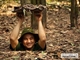 Picture of 4 star Vietnam package tour 10 days by flights