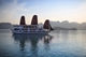 Picture of Aclass Stellar cruise