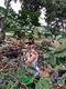 Picture of La Viet Coffee Tour in Da Lat Halfday