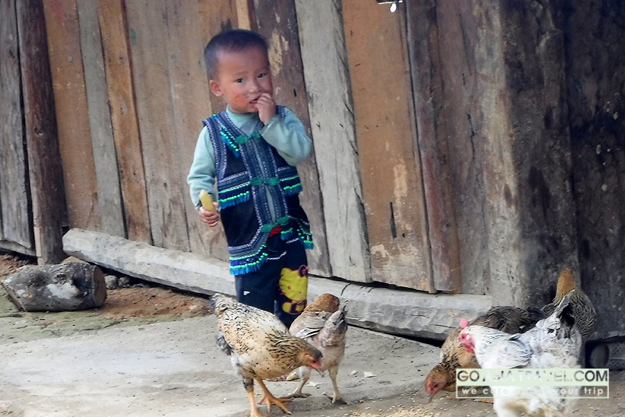 Picture of The Yen Homestay Ta Van Village Sapa
