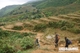 Picture of Sapa by bus 2 days – 1 night (overnight in Ta Van Village) GS2