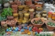 Picture of Bagan Sightseeing tour 1 day