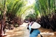 Picture of Can Tho homestay Tour Cai Rang Floating Market