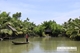 Picture of Can Tho homestay Tour Cai Rang Floating Market